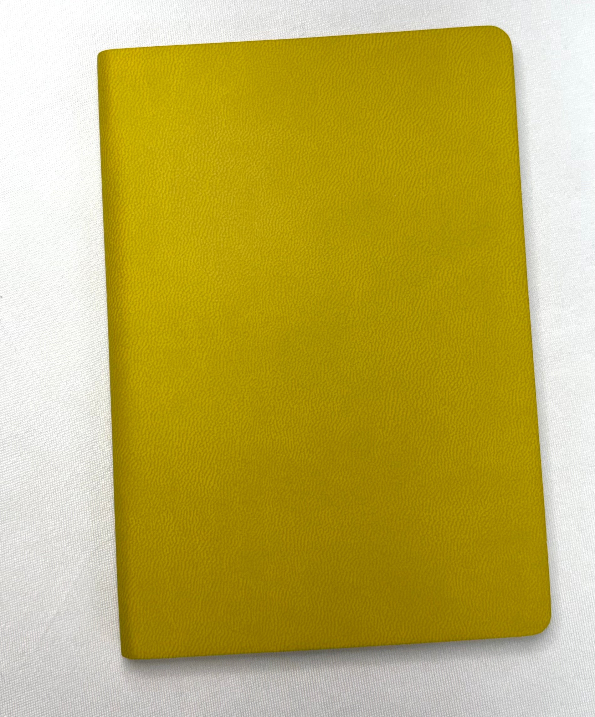 Mini Vegan Leather Journal